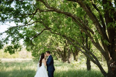 the groom and the bride are walking in the forest on a bright day