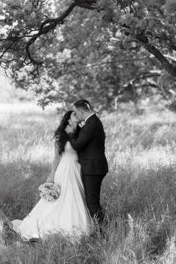 the groom and the bride are walking in the forest on a bright day