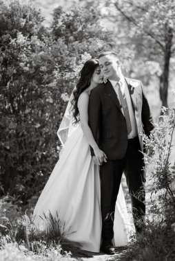 the groom and the bride are walking in the forest on a bright day
