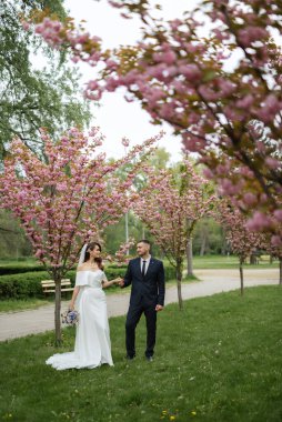 newlyweds walk in the park on the grass among cherry blossoms