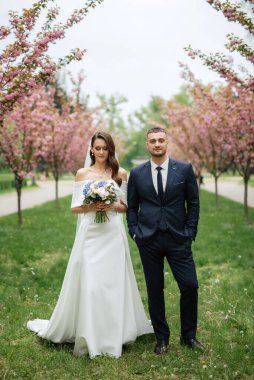 newlyweds walk in the park on the grass among cherry blossoms