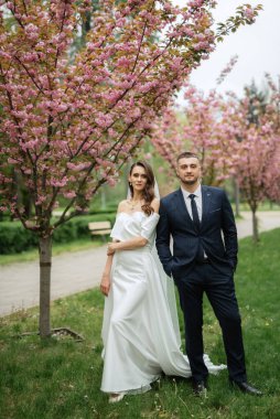 newlyweds walk in the park on the grass among cherry blossoms