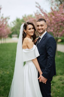 newlyweds walk in the park on the grass among cherry blossoms