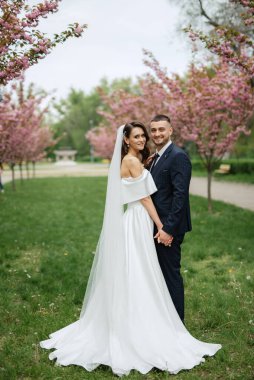 newlyweds walk in the park on the grass among cherry blossoms