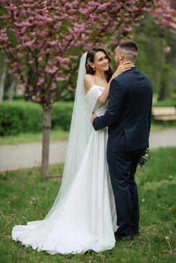 newlyweds walk in the park on the grass among cherry blossoms