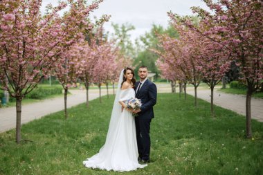 newlyweds walk in the park on the grass among cherry blossoms