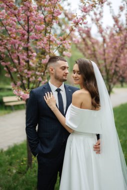 newlyweds walk in the park on the grass among cherry blossoms