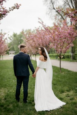 newlyweds walk in the park on the grass among cherry blossoms