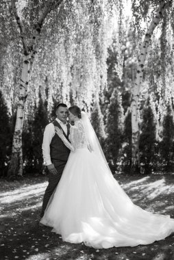 young couple the groom in a plaid suit and the bride in a chic white dress in nature