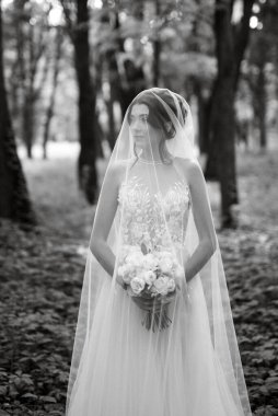 portrait of an elegant bride girl on a path in a deciduous forest