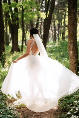 portrait of an elegant bride girl on a path in a deciduous forest