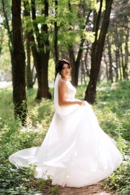 portrait of an elegant bride girl on a path in a deciduous forest