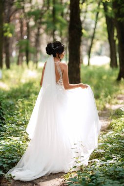 portrait of an elegant bride girl on a path in a deciduous forest