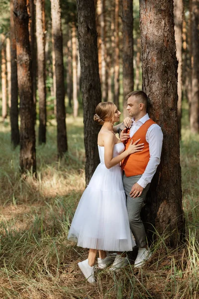 Young Couple Bride White Short Dress Groom Gray Suit Pine — Stock Photo, Image