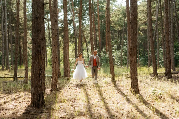 Beyaz Kısa Elbiseli Genç Çift Ağaçların Arasında Çam Ormanında Gri — Stok fotoğraf