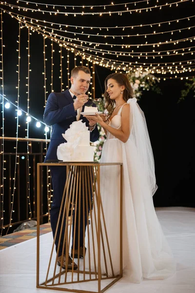 Newlyweds Happily Cut Laugh Taste Wedding Cake — Stock Photo, Image