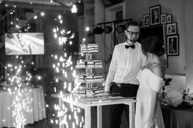 newlyweds happily cut, laugh and taste the wedding cake