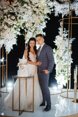 newlyweds happily cut, laugh and taste the wedding cake