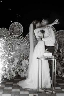 newlyweds happily cut, laugh and taste the wedding cake