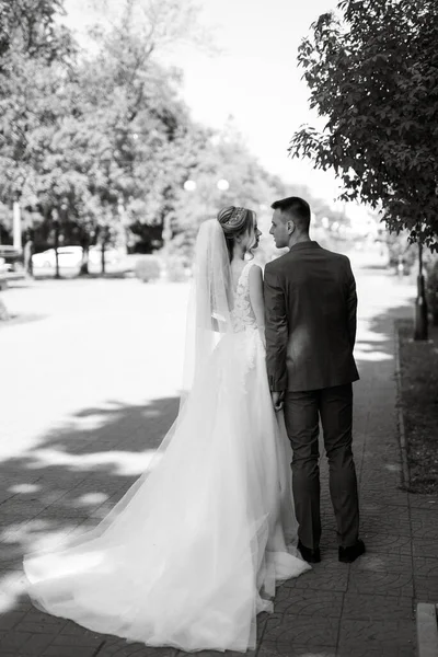 公園で結婚式の衣装を着た新郎新婦の最初の出会いは — ストック写真