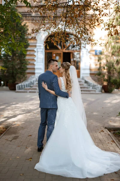 Newlyweds Walk City Old Buildings Backdrop Trees Pines — Stock Photo, Image