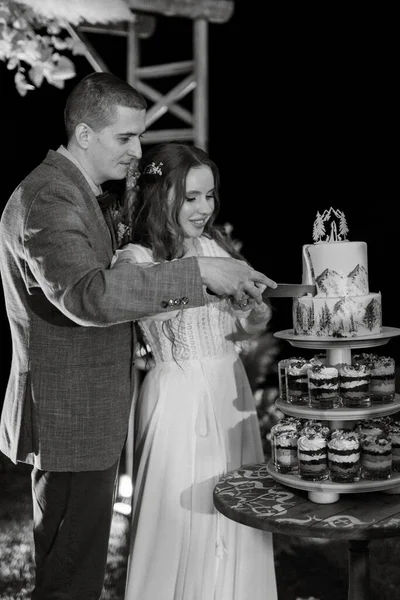 Newlyweds Happily Cut Laugh Taste Wedding Cake — Stok fotoğraf