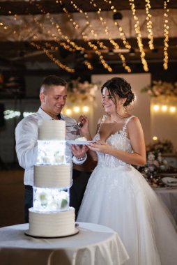 newlyweds happily cut, laugh and taste the wedding cake