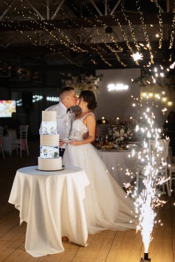 newlyweds happily cut, laugh and taste the wedding cake