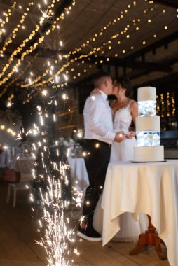 newlyweds happily cut, laugh and taste the wedding cake