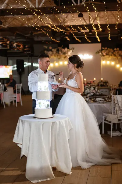 newlyweds happily cut, laugh and taste the wedding cake