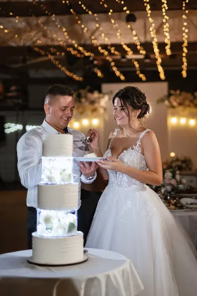 newlyweds happily cut, laugh and taste the wedding cake