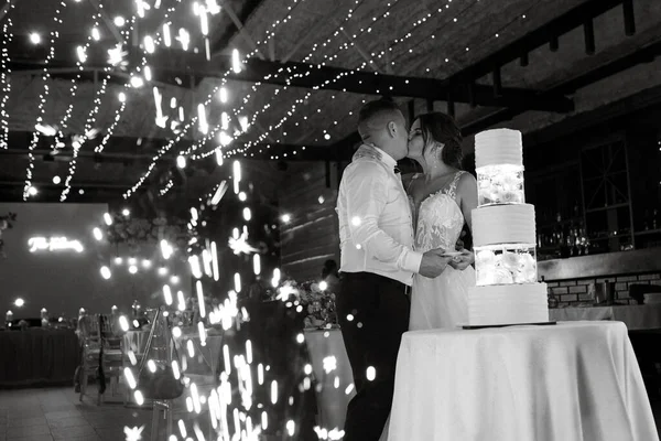 newlyweds happily cut, laugh and taste the wedding cake