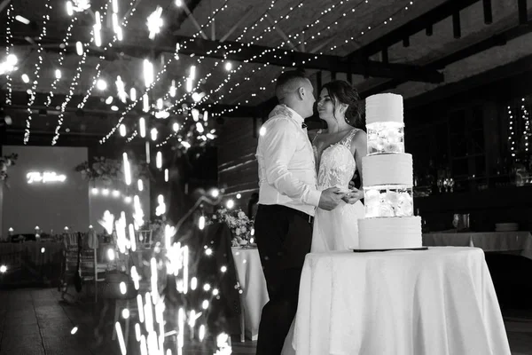 newlyweds happily cut, laugh and taste the wedding cake
