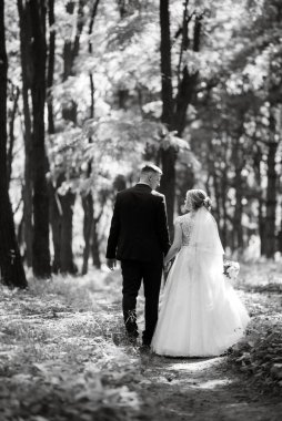 the groom and the bride are walking in the forest on a bright day