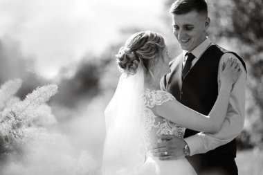 the groom and the bride are walking in the forest on a bright day