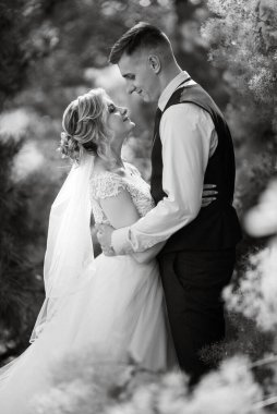the groom and the bride are walking in the forest on a bright day