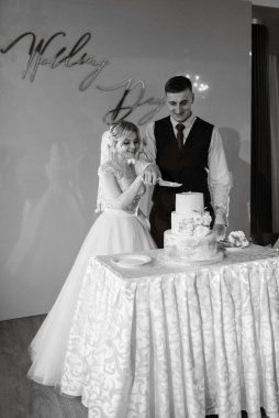 newlyweds happily cut, laugh and taste the wedding cake
