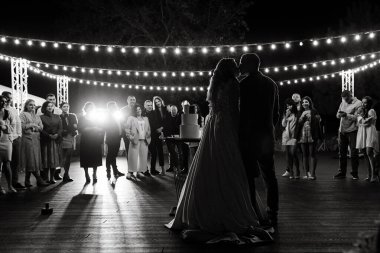 newlyweds happily cut, laugh and taste the wedding cake