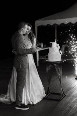 newlyweds happily cut, laugh and taste the wedding cake