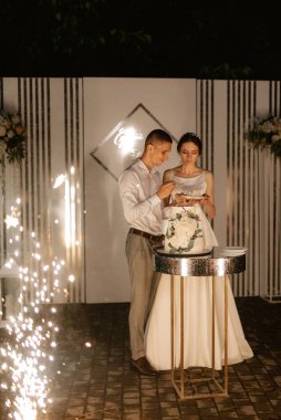 newlyweds happily cut, laugh and taste the wedding cake