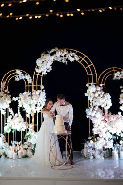newlyweds happily cut, laugh and taste the wedding cake