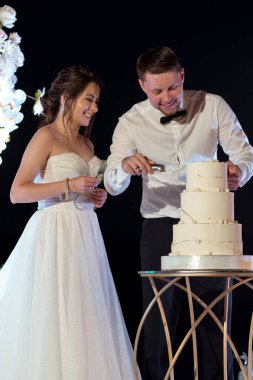 newlyweds happily cut, laugh and taste the wedding cake