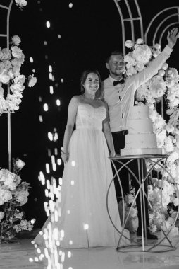 newlyweds happily cut, laugh and taste the wedding cake