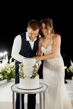 newlyweds happily cut, laugh and taste the wedding cake