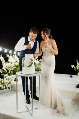 newlyweds happily cut, laugh and taste the wedding cake