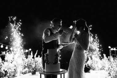 newlyweds happily cut, laugh and taste the wedding cake