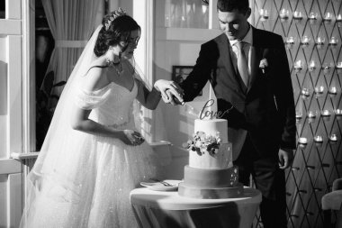 newlyweds happily cut, laugh and taste the wedding cake