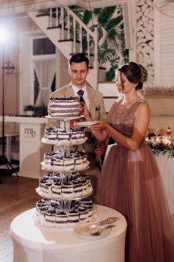 newlyweds happily cut, laugh and taste the wedding cake