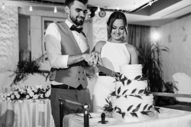 newlyweds happily cut, laugh and taste the wedding cake