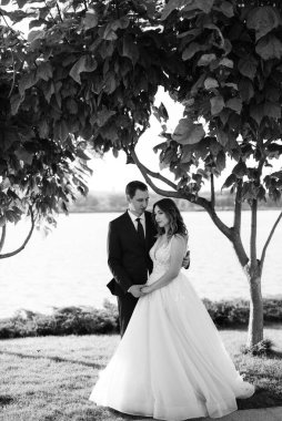 Gelin ve damat gün batımında parkta yürüyor.